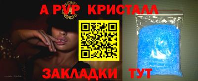бошки Донской